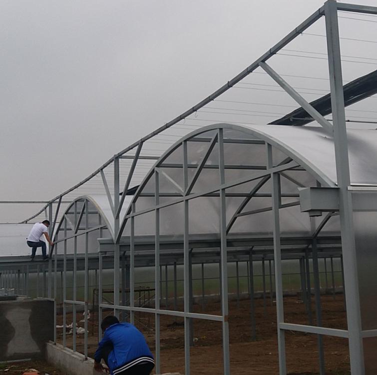 陜西陽光板廠家 陜西陽光板廠家